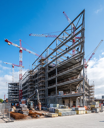 Construction & Trades